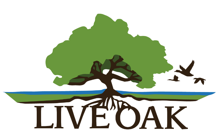 Live Oak Environmental Logo